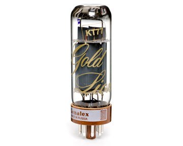 Gold Lion KT77 from Tubes For Amps